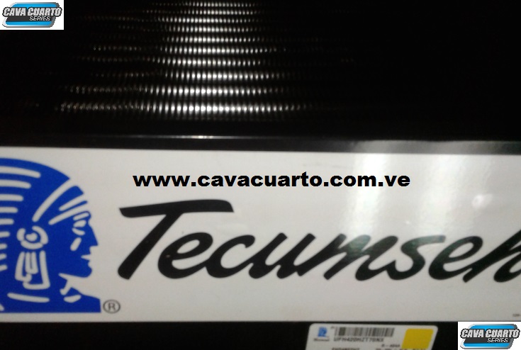 EQUIPO TECUMSEH / 2 HP - SUMINISTRO CAVA CUARTO - C.C.R